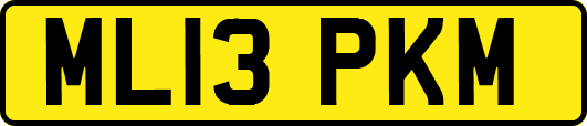 ML13PKM