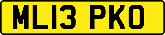 ML13PKO