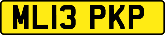 ML13PKP