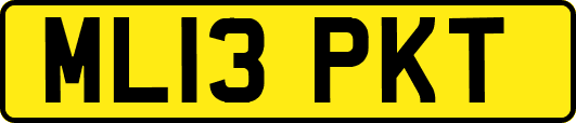 ML13PKT