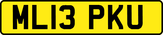 ML13PKU