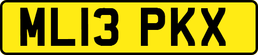 ML13PKX