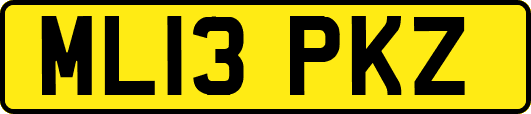 ML13PKZ
