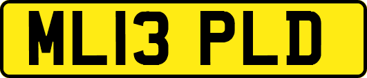 ML13PLD