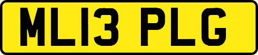ML13PLG