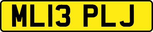 ML13PLJ