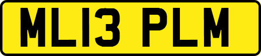 ML13PLM
