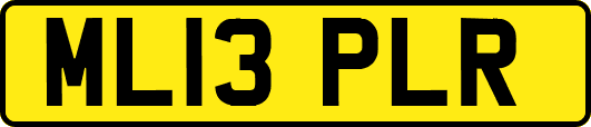 ML13PLR