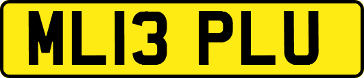 ML13PLU