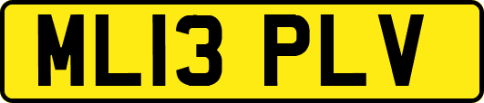 ML13PLV