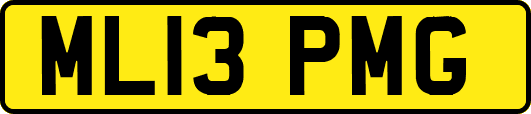 ML13PMG