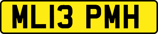 ML13PMH