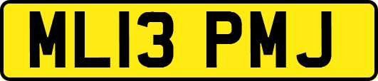 ML13PMJ