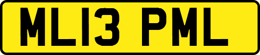 ML13PML