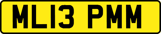 ML13PMM