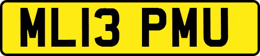 ML13PMU