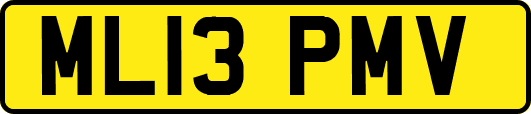ML13PMV