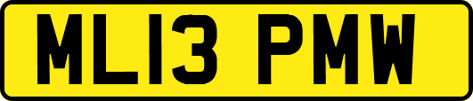 ML13PMW