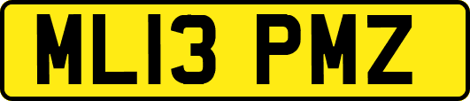 ML13PMZ