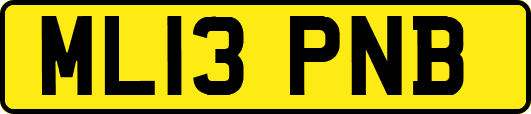ML13PNB