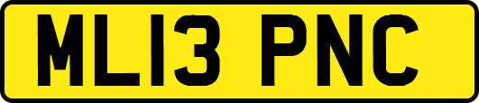 ML13PNC