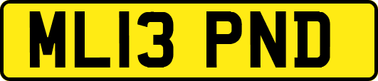ML13PND