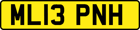 ML13PNH