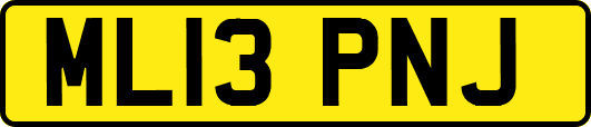 ML13PNJ