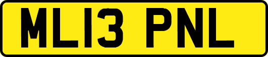 ML13PNL