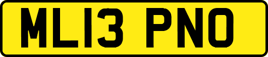 ML13PNO