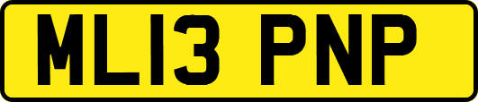 ML13PNP