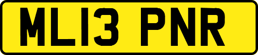 ML13PNR