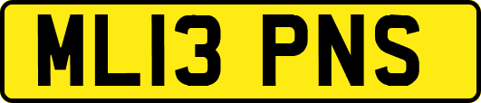 ML13PNS