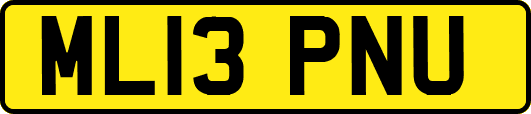 ML13PNU