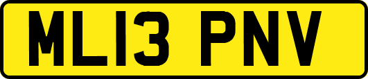 ML13PNV