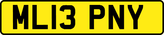 ML13PNY