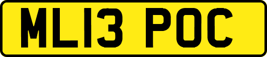 ML13POC