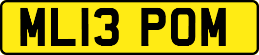 ML13POM