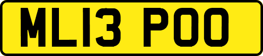 ML13POO