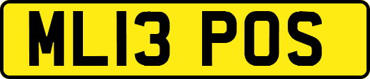 ML13POS