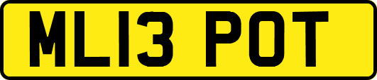 ML13POT