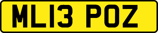 ML13POZ