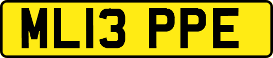 ML13PPE