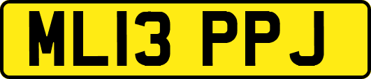 ML13PPJ