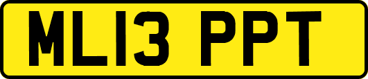 ML13PPT