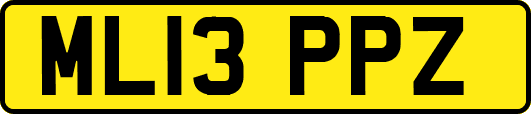 ML13PPZ