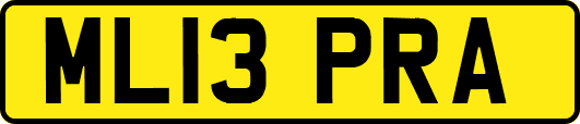ML13PRA