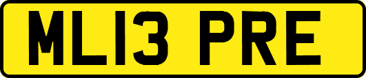 ML13PRE