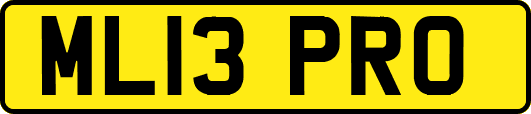 ML13PRO