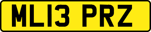 ML13PRZ